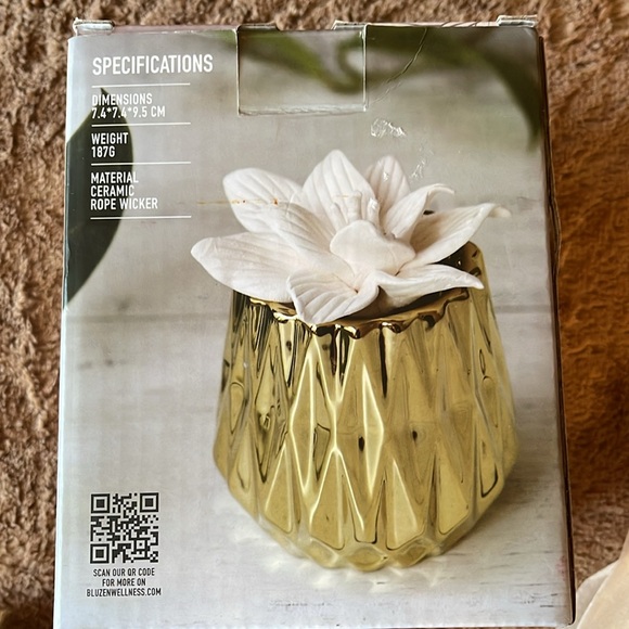 Bluzen Succulent Stone Diffuser. Beautiful gold and white. Ceramic rope wicker. - Picture 2 of 12